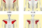 邱博士談武學：武學中小肌肉群、小關節(jié)與人體穩(wěn)定性