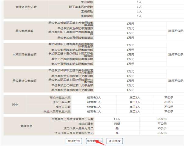 企業(yè)年報(bào)預(yù)覽并公示