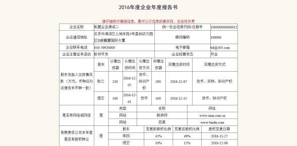 企業(yè)年報打印