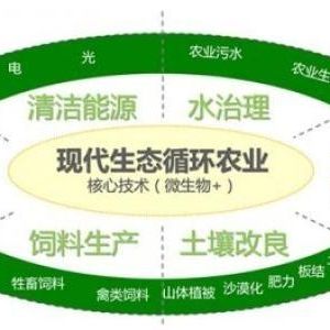 辦一個生態(tài)循環(huán)養(yǎng)殖農(nóng)場需要什么手續(xù)？申請流程是什么？