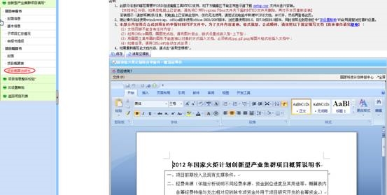 項(xiàng)目概算說明書的填寫頁面