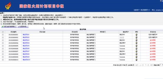 申報系統(tǒng)的項目列表界面