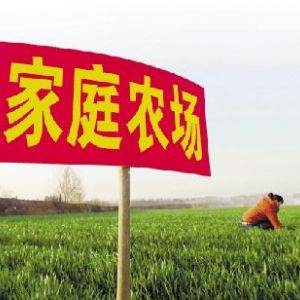 自辦家庭農(nóng)場(chǎng)政府有扶持政策嗎？