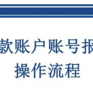 北京市網(wǎng)上稅務(wù)局存款賬戶賬號(hào)報(bào)告操作流程說明（最新）