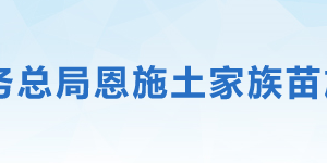 恩施州稅務(wù)局網(wǎng)址地址及聯(lián)系電話