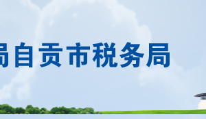 自貢市稅務局稅務系統(tǒng)納稅人端稅務軟件技術支持咨詢電話