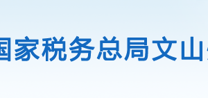 文山州稅務(wù)局辦稅服務(wù)廳辦公時間地址及納稅咨詢電話