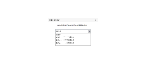 選擇需要進(jìn)行身份認(rèn)證的所屬服務(wù)機(jī)構(gòu)