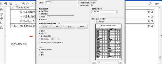 打印當前PDF的數(shù)據(jù)