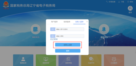 遼寧省電子稅務(wù)局自然人注冊(cè)
