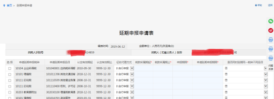 填寫延期申報(bào)申請(qǐng)單信息