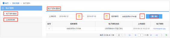 海南省電子稅務(wù)局電子資料