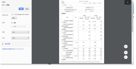 打印申報(bào)表信息