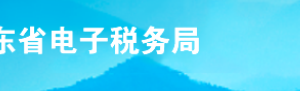 2019年9月山東省電子稅務(wù)局常見問(wèn)題匯總（一）