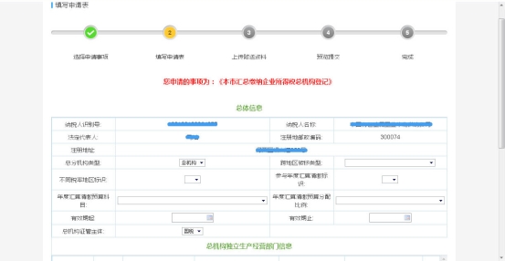 申報(bào)表填寫(xiě)