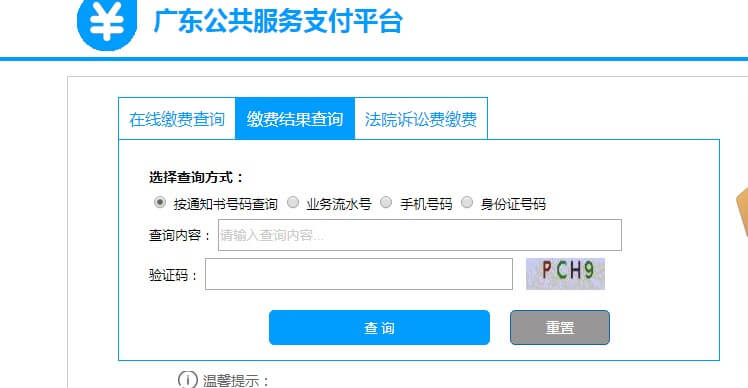 繳費(fèi)結(jié)果查詢(xún)