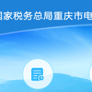 重慶市電子稅務(wù)局專項(xiàng)業(yè)務(wù)報(bào)告要素信息采集指南