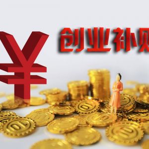 2020年高校畢業(yè)大學生在深圳創(chuàng)業(yè)補貼怎么領取？