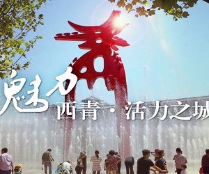 天津市公安局西青分局各派出所聯(lián)系地址及聯(lián)系電話(huà)