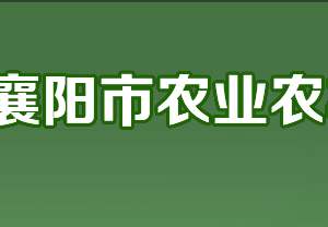 襄陽市農(nóng)業(yè)農(nóng)村局各部門工作時間及聯(lián)系電話