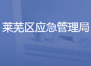 濟南市萊蕪區(qū)應(yīng)急管理局各部門對外聯(lián)系電話