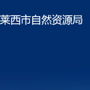 萊西市自然資源局各部門對(duì)外聯(lián)系電話