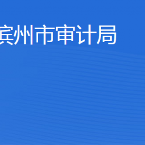 濱州市審計(jì)局各部門(mén)工作時(shí)間及聯(lián)系電話(huà)