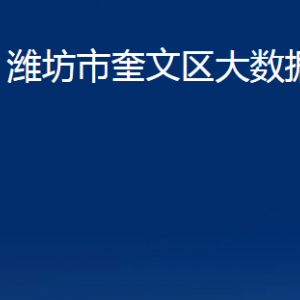 濰坊市奎文區(qū)大數(shù)據(jù)局辦公室對外聯(lián)系電話及地址