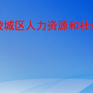 德州市陵城區(qū)人力資源和社會(huì)保障局各部門聯(lián)系電話