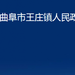 曲阜市王莊鎮(zhèn)政府各部門職責(zé)及聯(lián)系電話