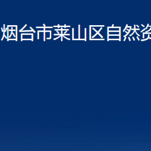 煙臺(tái)市萊山區(qū)自然資源局各部門對(duì)外聯(lián)系電話