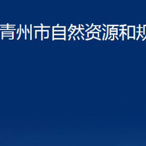 青州市自然資源和規(guī)劃局各部門對外聯(lián)系電話