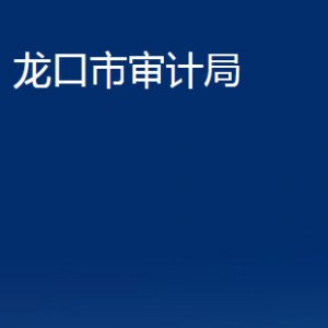 龍口市審計(jì)局各部門對(duì)外聯(lián)系電話