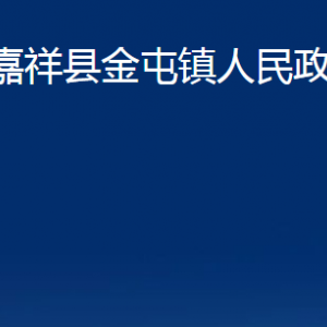 嘉祥縣金屯鎮(zhèn)政府為民服務(wù)中心對外聯(lián)系電話及地址