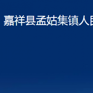 嘉祥縣孟姑集鎮(zhèn)政府為民服務(wù)中心對外聯(lián)系電話及地址