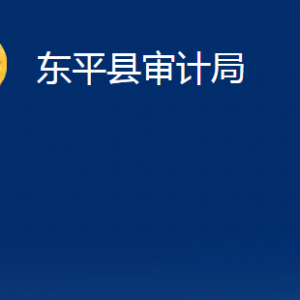 東平縣審計(jì)局各部門(mén)職責(zé)及對(duì)外聯(lián)系電話