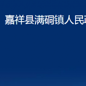 嘉祥縣滿硐鎮(zhèn)政府為民服務(wù)中心對(duì)外聯(lián)系電話及地址