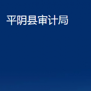 平陰縣審計(jì)局各部門職責(zé)及聯(lián)系電話