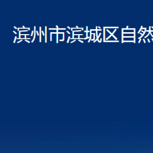 濱州市濱城區(qū)自然資源局各部門(mén)職責(zé)及對(duì)外聯(lián)系電話