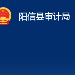 陽信縣審計局各部門職責(zé)及對外聯(lián)系電話辦公時間