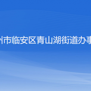 杭州市臨安區(qū)青山湖街道辦事處各部門負責(zé)人和聯(lián)系電話