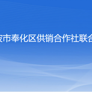 寧波市奉化區(qū)供銷合作社聯(lián)合社各部門負責人和聯(lián)系電話