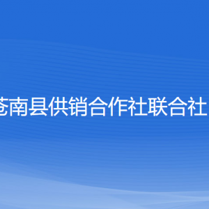 蒼南縣供銷合作社聯(lián)合社各部門(mén)負(fù)責(zé)人和聯(lián)系電話