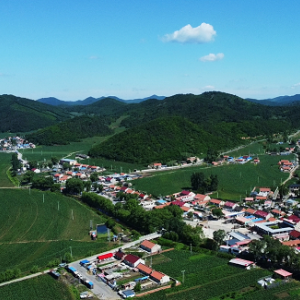 遼陽市弓長嶺區(qū)政府各職能部門地址工作時間和聯(lián)系電話