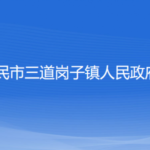 新民市三道崗子鎮(zhèn)政府各職能部門辦公地址及聯(lián)系電話