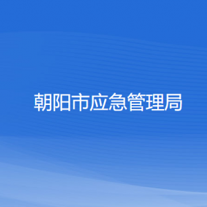 朝陽市應(yīng)急管理局各部門對外公開電話