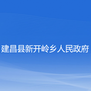 建昌縣新開嶺鄉(xiāng)人民政府各部門對(duì)外聯(lián)系電話