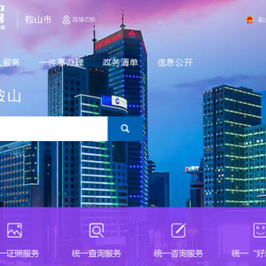 鞍山市政務服務網網上申報操作指南