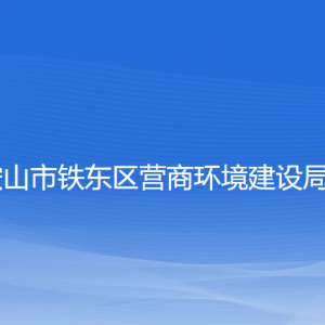 鞍山市鐵東區(qū)事業(yè)單位設(shè)立、變更、注銷登記操作指南