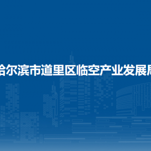 哈爾濱市道里區(qū)臨空產(chǎn)業(yè)發(fā)展局各部門(mén)職責(zé)及聯(lián)系電話